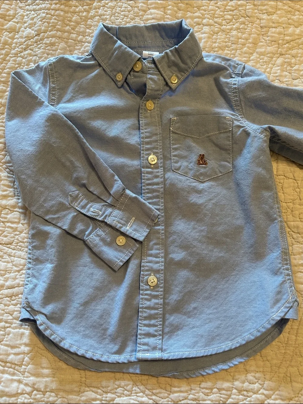GAP Light Blue Button-Down Shirt with Pocket Embroidery
